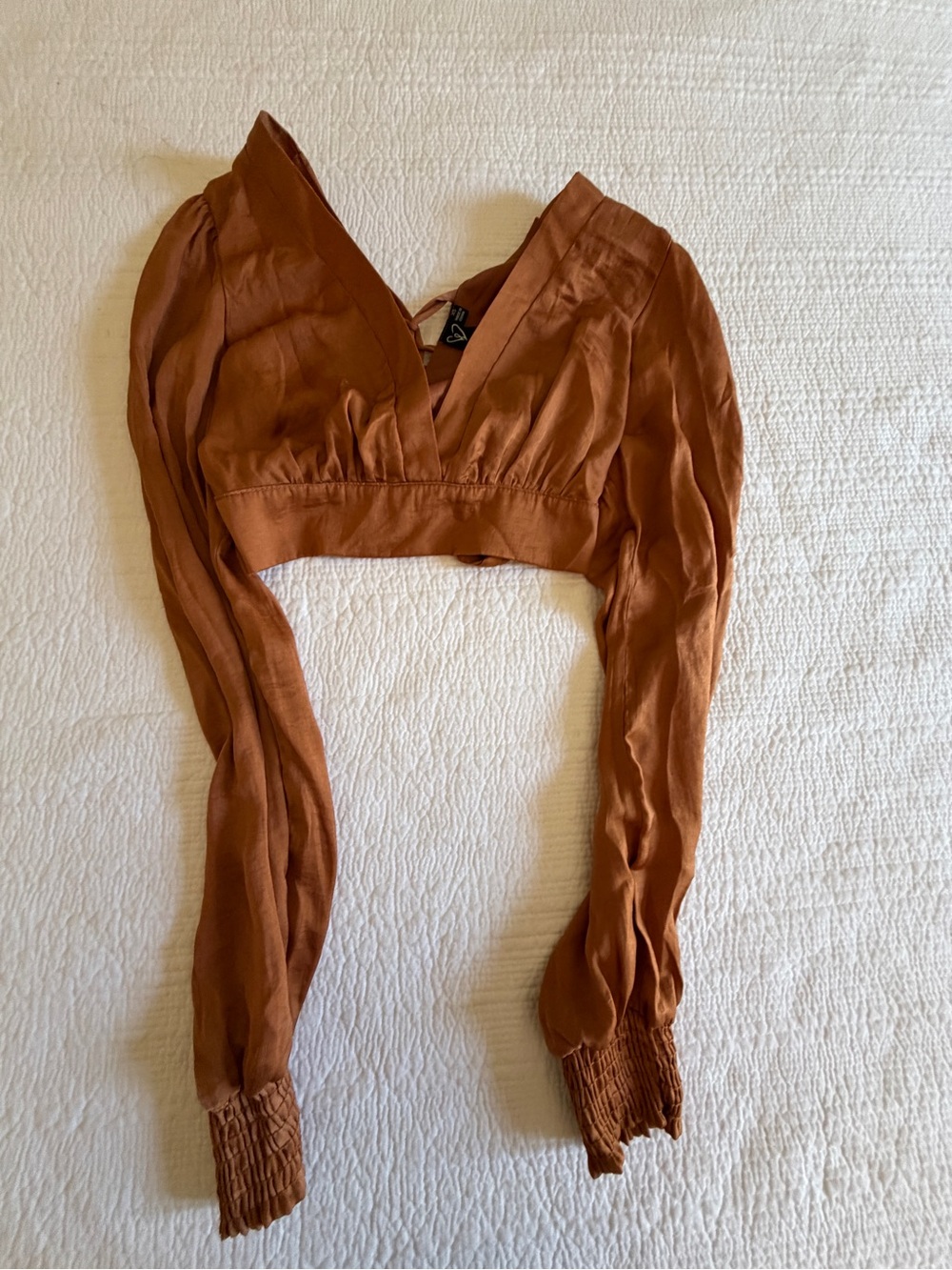 Windsor Rust Crop V-Neck Long Sleeve Top